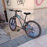 Mountain Bike Rockrider (Btwin) 