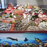Banco da esposizione pesce in acciaio