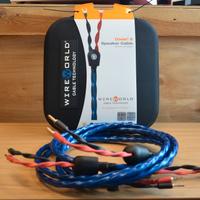 WIREWORLD OASIS 8 (Nuovo/Demo/F.C.)-35%