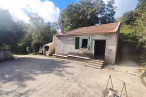 Osilo Terreno Agricolo con Vigna e Frutteto