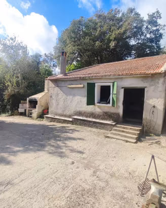 Osilo Terreno Agricolo con Vigna e Frutteto