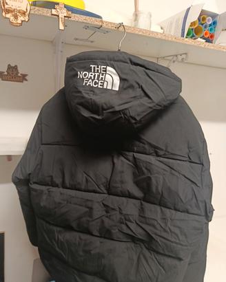 bomber 
