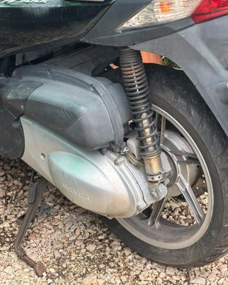 Motore sh 300