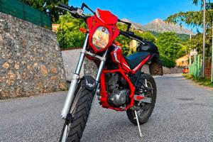 Beta Alp 200 