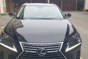 LEXUS - NX - Hybrid 4WD Executive