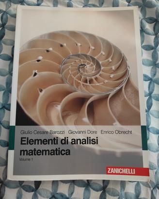 Elementi di analisi matematica  zanichelli obrecht