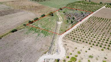 Terreno agricolo 5300 mq Ramacca