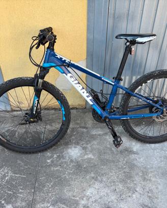 Bicicletta taglia 24