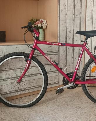Mountain Bike Vintage GIANT Terrago anni 90 fucsia
