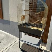 Gabbie per pappagalli