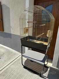 Gabbie per pappagalli