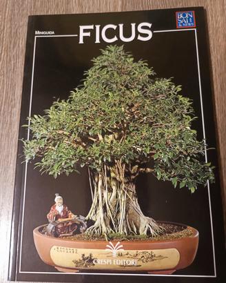 Miniguida bonsai