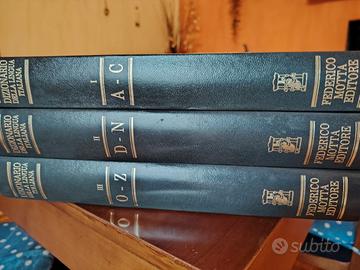 dizionario Federico motta editore 