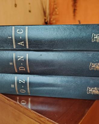 dizionario Federico motta editore 
