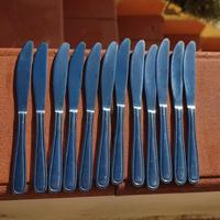Set 12 Coltelli in acciaio inox
