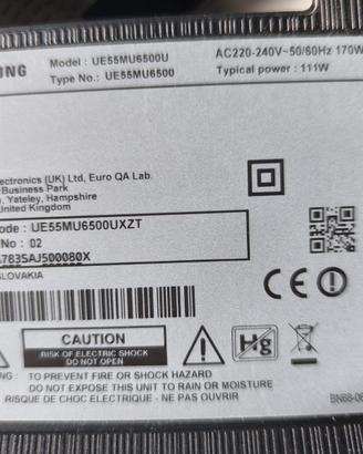 scheda madre TV Samsung 55 pollici curvo
