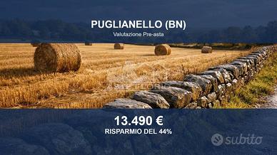 Immobile in asta di 2998 m² a Puglianello