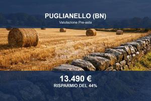 Immobile in asta di 2998 m² a Puglianello