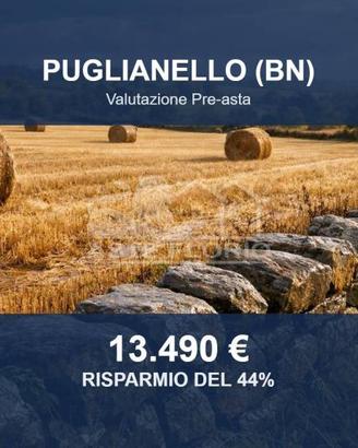 Immobile in asta di 2998 m² a Puglianello