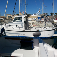 Barca a motore pilotina