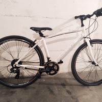 Bicicletta Boxter Adriatica