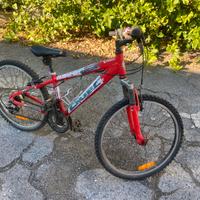 Bici bianchi