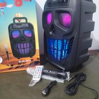 Cassa bluetooth portatile karaoke 100 Watt pmpo 