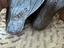 Immagine 3