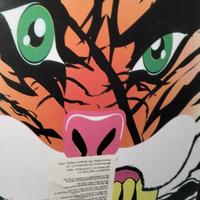 Skateboard  pronto all uso