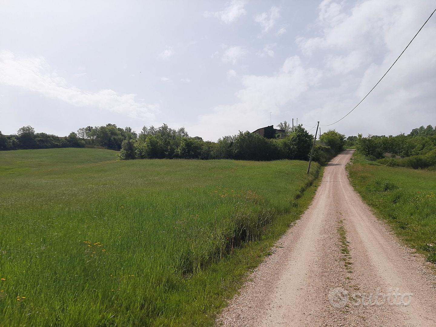 Terreno agricolo Gualdo Cattaneo - Altro