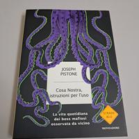 Cosa Nostra,istruzioni per l'uso