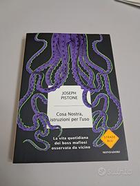 Cosa Nostra,istruzioni per l'uso