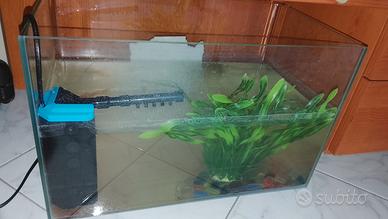 pesce rosso con acquarioo