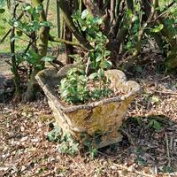 Vasi in cemento anni 60