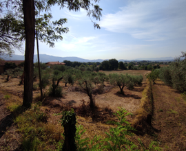 Terreno edificabile Anagni