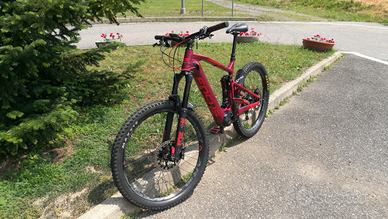 Ebike Focus Sam2