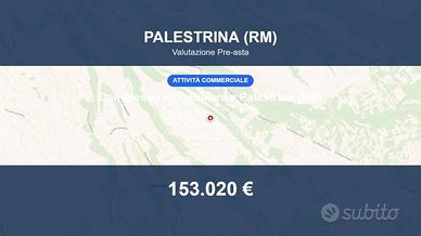 Immobile in asta di 39456 m² a Palestrina