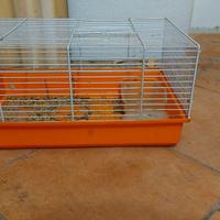 gabbia criceti 