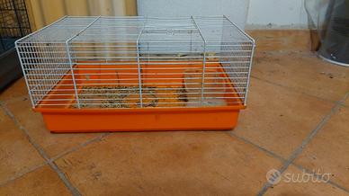 gabbia criceti 