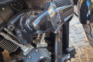 ricambi o intera harley davidson low rider s 117 