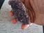 Immagine 3