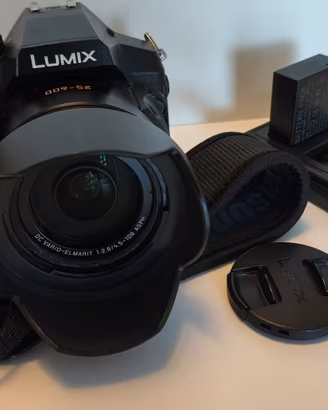 Panasonic Lumix FZ 300