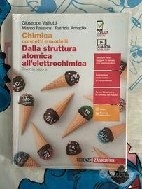 Libro Chimica concetti e modelli seconda edizione