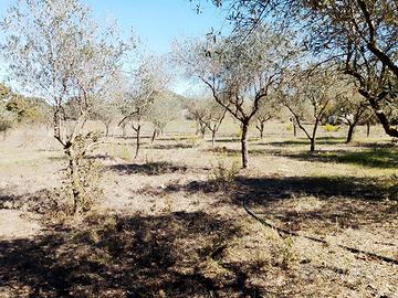 Terreno con casetta a Ploaghe