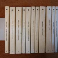 La matematica come un romanzo