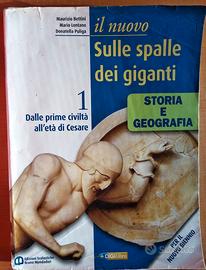 Sulle spalle dei giganti - volume 1