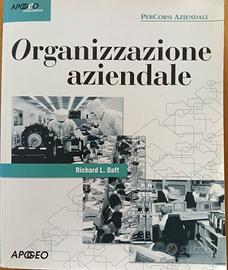 libro di organizzazione aziendale 