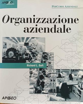 libro di organizzazione aziendale 