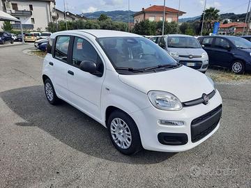 FIAT Pandina PANDA MY26 1.0 65CV HYBRID ICON