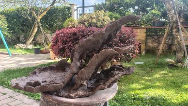 vaso struttura bonsai ishizuki 